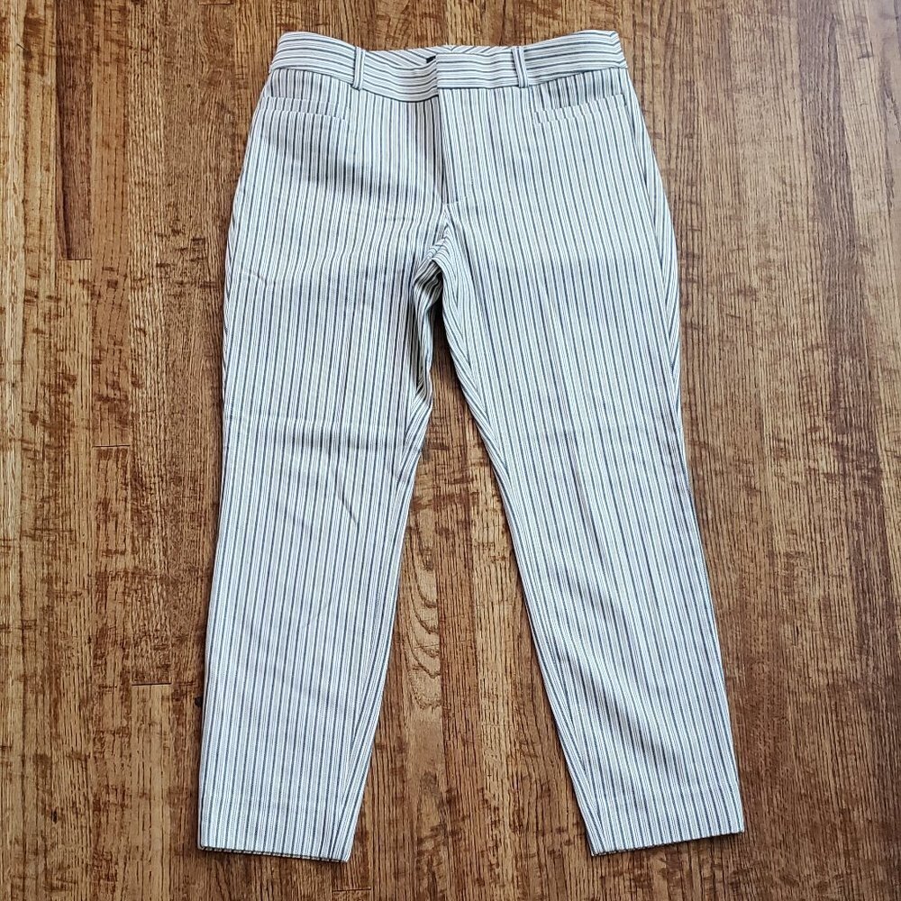 Banana Republic Sloan Pants